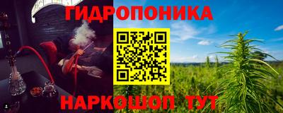 ГАЛЛЮЦИНОГЕННЫЕ ГРИБЫ Гусь-Хрустальный
