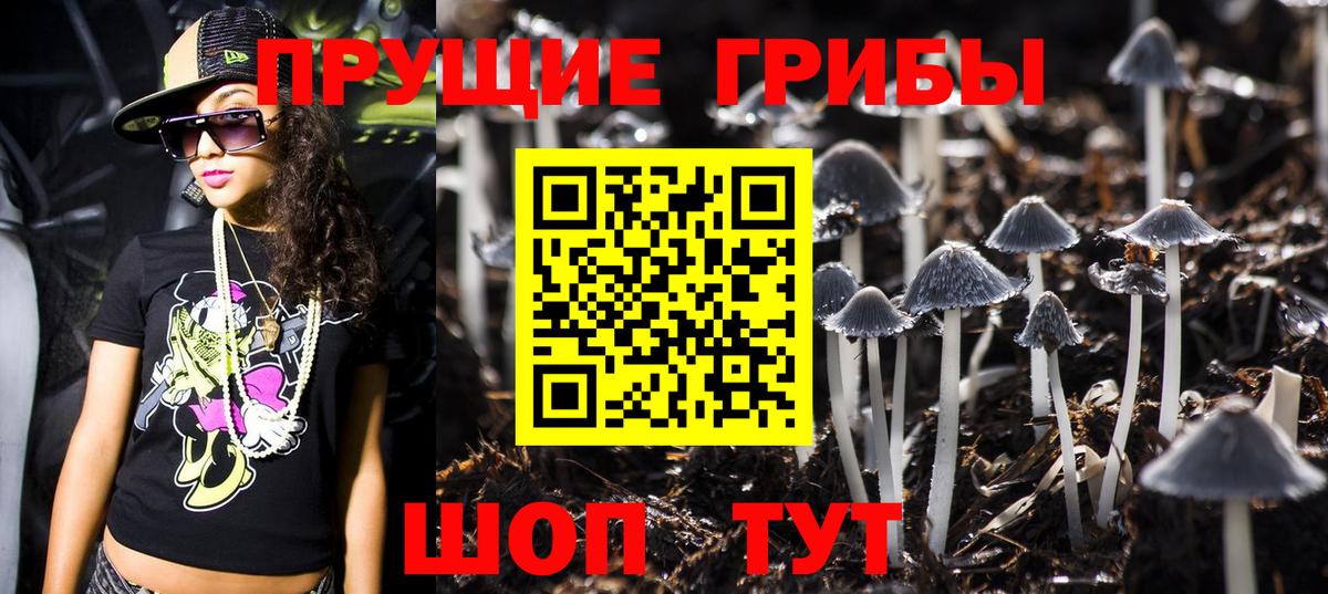 Псилоцибиновые грибы мухоморы Луга