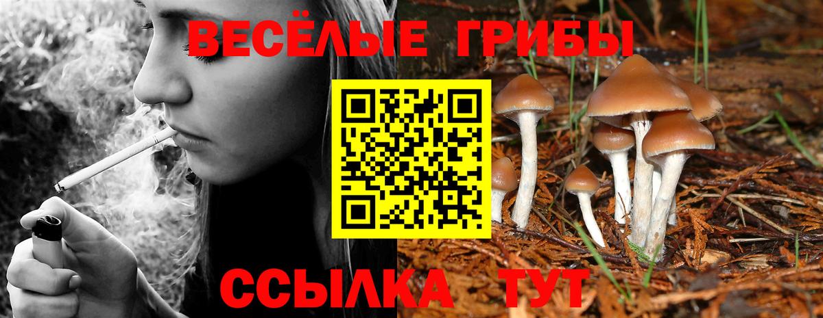 Луга  Псилоцибиновые грибы мухоморы  Вход с VPN 