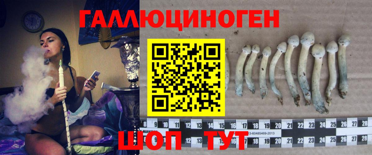 Гашиш Луга